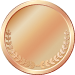 Bronze Award